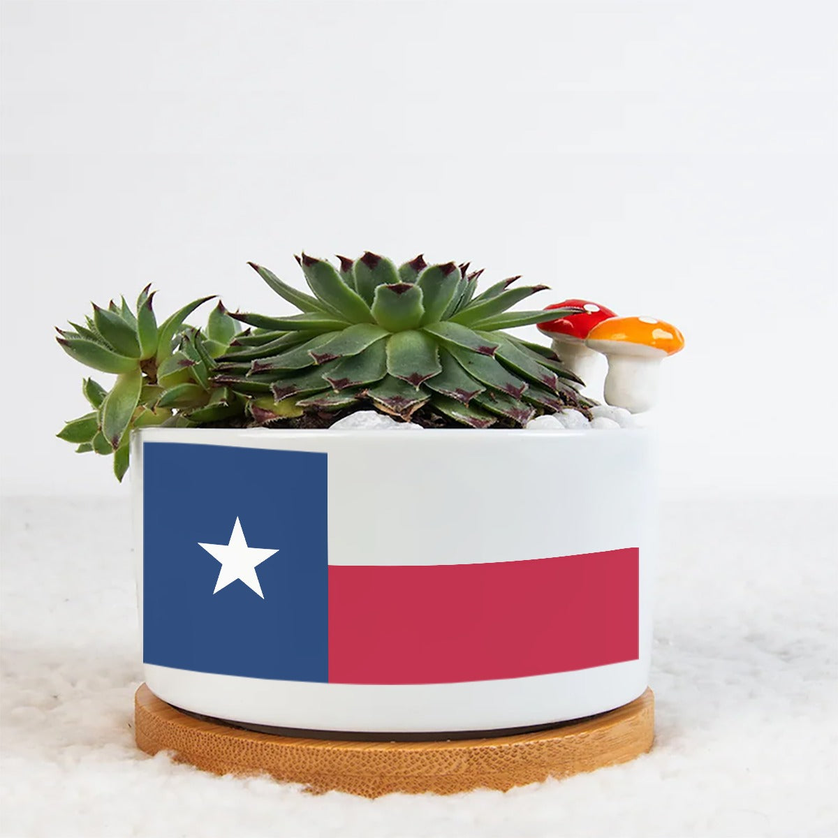 Texas Flag Ceramic Flower Pot - Perfect for Succulents and Herbs